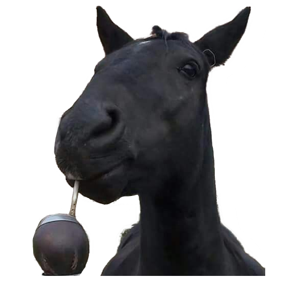 :caballo_tomando_mate: